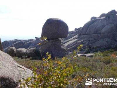 Senda de Maeso - La Pedriza - rutas por madrid; excursiones de senderismo